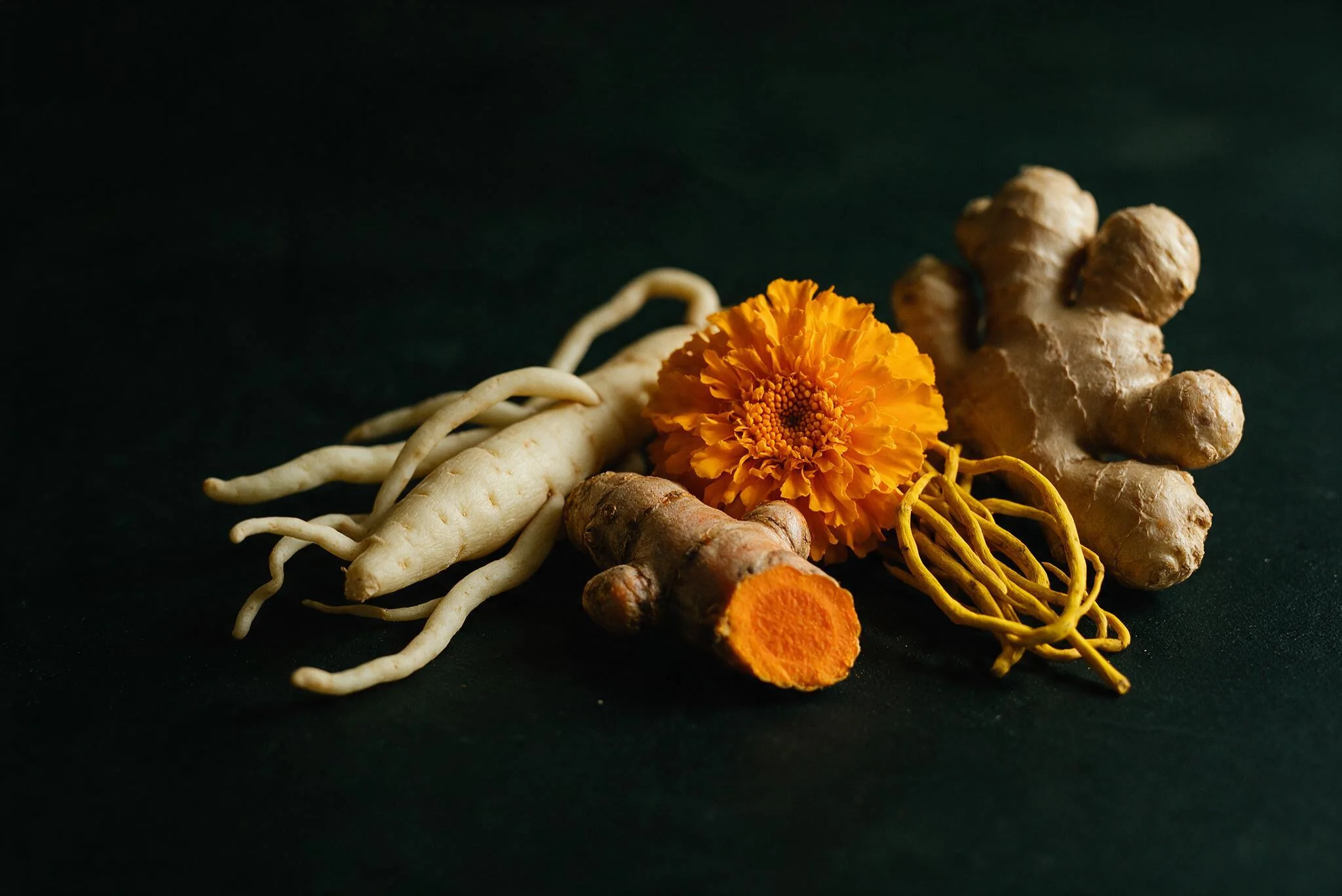 The five branded botanical sources — shatavari root, turmeric, marigold, barberry and ginger