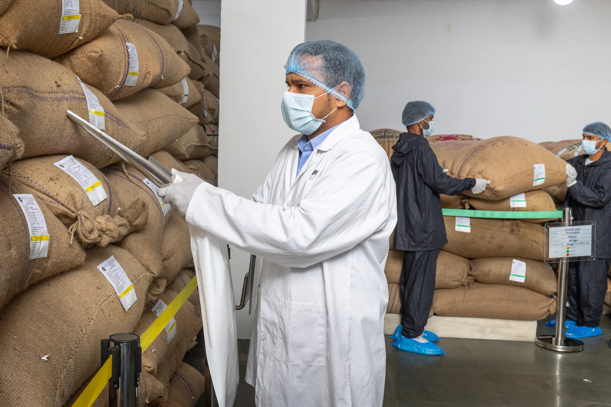 A quality officer sampling a sack of raw material at intake, Dehradun